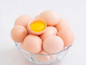 高达9.56元 公斤 沈阳鸡蛋价格俩月上涨36